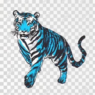 printed risograph of a tiger full body blue and black thick strokes white background vintage detailed --s 5