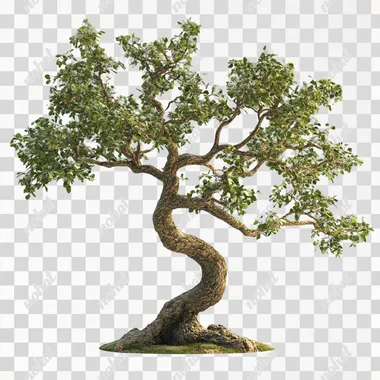 tree, realistic