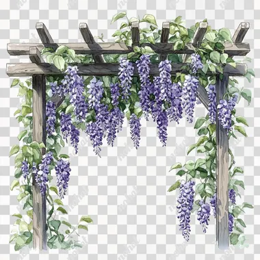 Cool illustration of wisteria trellis without background