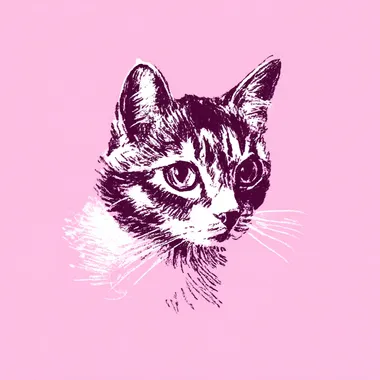 cat   3dgonrl