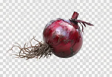 A beautiful red onion with shiny, smooth skin and detailed root fibers, rendered with high realism, isolated on a white background