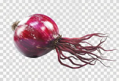 A beautiful red onion with shiny, smooth skin and detailed root fibers, rendered with high realism, isolated on a white background