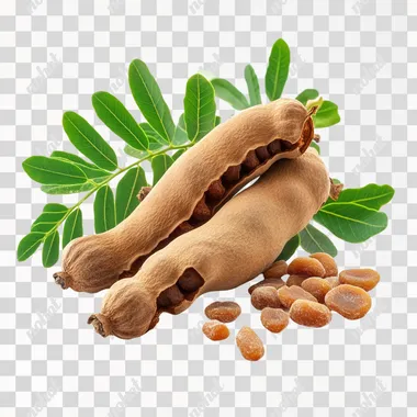 Tamarind isolated with dried fruit and fresh leaves on a white background, with tamarind grains next to it. High resolution photography, professional color grading, soft shadows, low contrast, clean sharp focus and vector