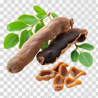 Tamarind isolated with dried fruit and fresh leaves on a white background, with tamarind grains next to it. High resolution photography, professional color grading, soft shadows, low contrast, clean sharp focus and vector