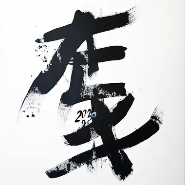 Caligraphic inscription "2025" black on white background