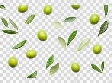Isolated green olives with leaves on a white background, close-up. Flat lay style. Perfect for product photography.