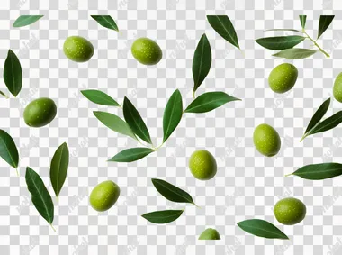 Isolated green olives with leaves on a white background, close-up. Flat lay style. Perfect for product photography.