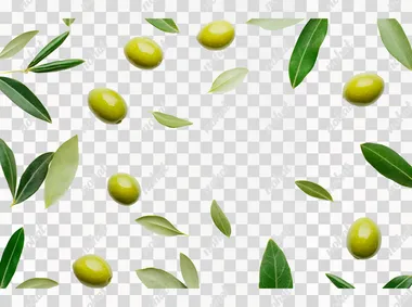 Isolated green olives with leaves on a white background, close-up. Flat lay style. Perfect for product photography.