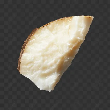 single coconut slice isolated on white background