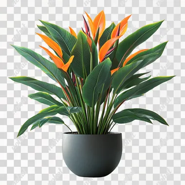 3D rendering of a bird of paradise plant, isolated on a white background, in an isometric view. --s 750