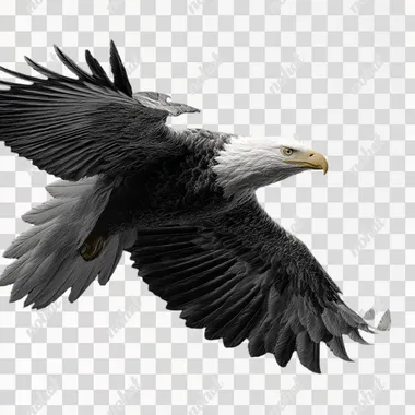 bald eagle flying ,detailed, fully photo realistic