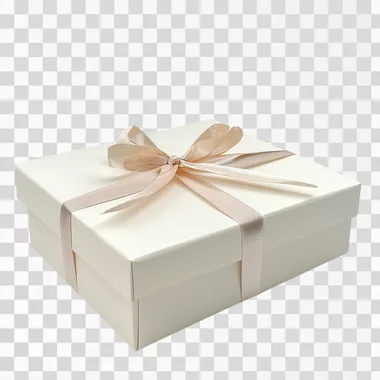 gift box with white backround