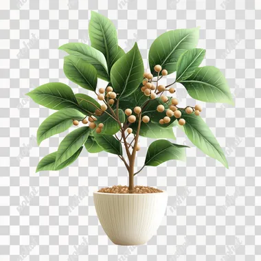 plant in a pot, green leaves with tan berries, realistic, isolated white background
