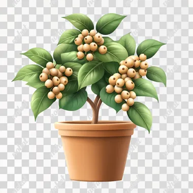 plant in a pot, green leaves with tan berries, realistic, isolated white background