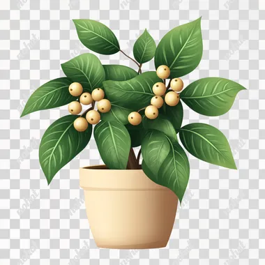 plant in a pot, green leaves with tan berries, realistic, isolated white background