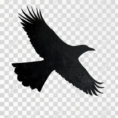 A FLYING BLACK CROW SILHOUETTE ON A WHITE BACKGROUND
