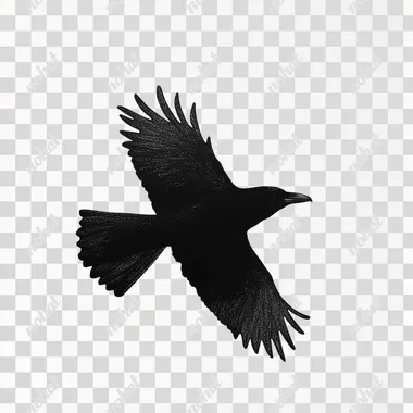 A FLYING BLACK CROW SILHOUETTE ON A WHITE BACKGROUND