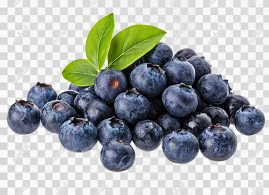 Blueberries with leaves isolated on a white background. With a clipping path. Full depth of field. Focus stacking. PNG, cutout, PNG file with a white background.