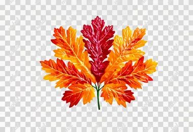 Ultra-realistic, 8K cinematic, photorealistic studio-quality image of a single autumn tree leaf, perfectly centered on a pure white background, high-resolution macro shot showing detailed leaf veins, vibrant autumn colors in gradients of red, orange, and golden yellow, sharp edges and natural imperfections like tiny holes or curled tips, soft diffused studio lighting eliminating shadows, Canon EOS R5, 85mm f/1.4, shallow depth of field with perfect focus on the entire leaf, clean and minimalistic composition  --s 750   gpe3wm3