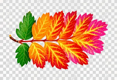 Ultra-realistic, 8K cinematic, photorealistic studio-quality image of a single autumn tree leaf, perfectly centered on a pure white background, high-resolution macro shot showing detailed leaf veins, vibrant autumn colors in gradients of red, orange, and golden yellow, sharp edges and natural imperfections like tiny holes or curled tips, soft diffused studio lighting eliminating shadows, Canon EOS R5, 85mm f/1.4, shallow depth of field with perfect focus on the entire leaf, clean and minimalistic composition  --s 750   gpe3wm3