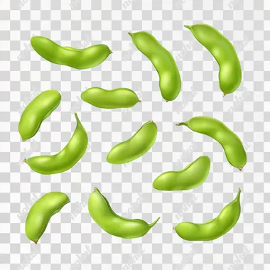 top view mung beans isolated on white background, realistic, studio light