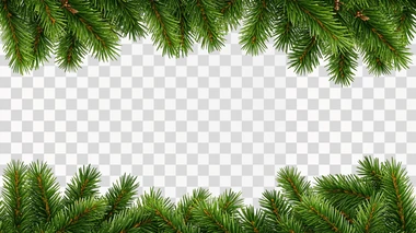 Christmas Tree Border, rectangle shape, isolated