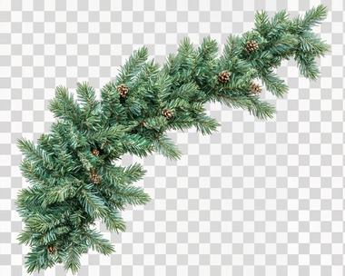 The green Christmas tree branches in the corner with a border isolated on a white background and clipping path, leaving white space for text or a logo. A mockup template for design.