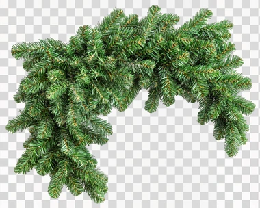 The green Christmas tree branches in the corner with a border isolated on a white background and clipping path, leaving white space for text or a logo. A mockup template for design.