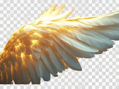A pair of white angel wings on a black background, viewed from the front, with a 3D rendering effect. The wing edges have a subtle glow and the overall color tone is a warm golden yellow. It features high definition resolution and high detail. A bird's eye perspective creates an ethereal atmosphere with soft lighting and shadows. Soft light illuminates each feather in detail, showcasing a dreamy and mysterious style in the of an artist.