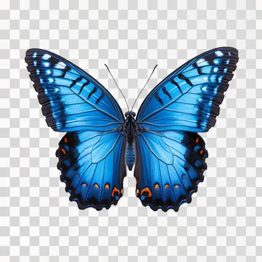 Bright Blue Butterfly With Light Blue Spots from above against a white background --s 250