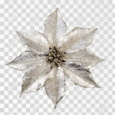 POINSETTIA christmas decoration, closeup front view, white background --s 50