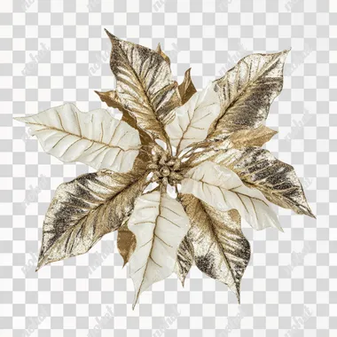 POINSETTIA christmas decoration, closeup front view, white background --s 50