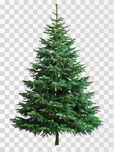 cast green Christmas tree, isolated on white background, realistic photo, few decorations