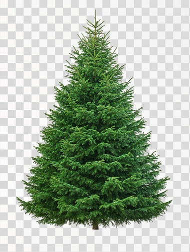 cast green Christmas tree, isolated on white background, realistic photo, few decorations
