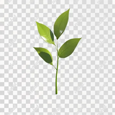 plant power isolated white backgrpund 3d shadow