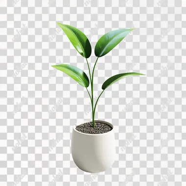plant power isolated white backgrpund 3d shadow