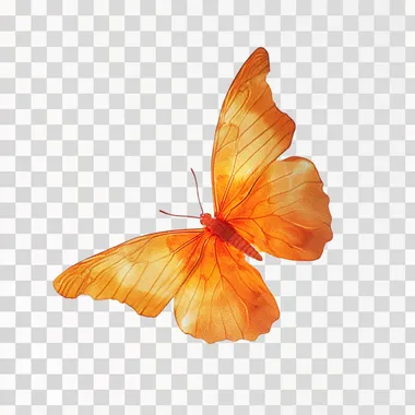 photo of a orange glowing butterfly back view flying isolated on white background