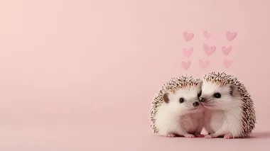 two kissing hedgehogs, hearts above them, solid pink background, studio light     mkkcr82 --s 250