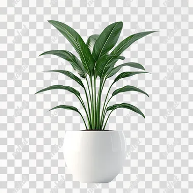 a realistic photograph of a large plant in a round white ceramic pot, isolated on a solid background, product photography, high resolution, high definition, sharp focus, high detail, ultra-detailed, hyperrealistic, high quality, high sharpness, hyper-detailed, hyper-realism, high color contrast, isolated on a white background