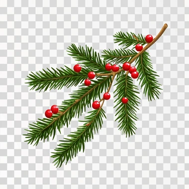Christmas tree branch isoilated on white background with hollows