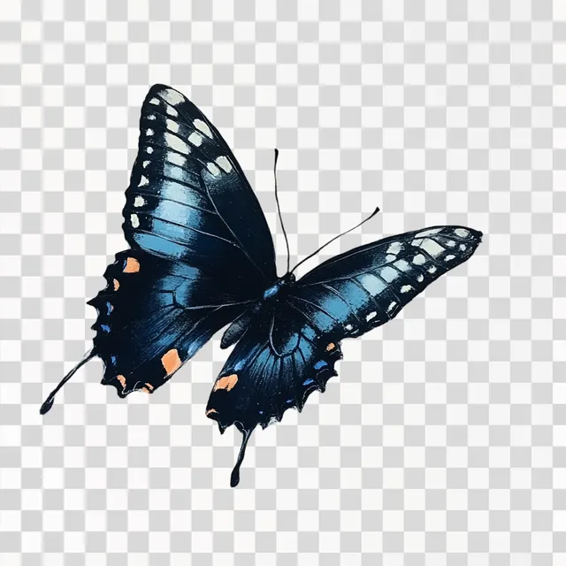 Blue and Black Butterfly in Flight: Side View