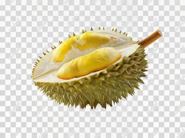 Product photography, a cut-open durian on a white background, PNG format, realistic, hyper-realistic, ultra-detailed, ultra-high definition, high resolution, 20K