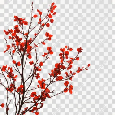 Red tree picks, floral sprays, white background, photo, for stock