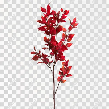 Red tree picks, floral sprays, white background, photo, for stock