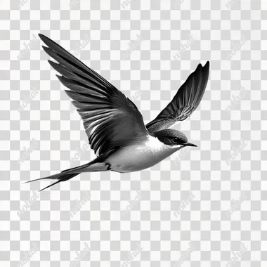 flying swallow bird black and white, simple realistic, 8k