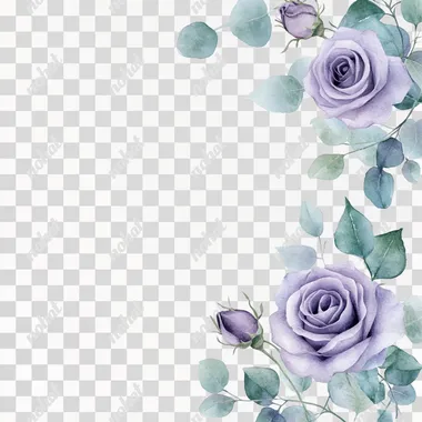 Soft watercolor border featuring lavender roses intertwined with subtle sprigs of eucalyptus, isolated on white background.