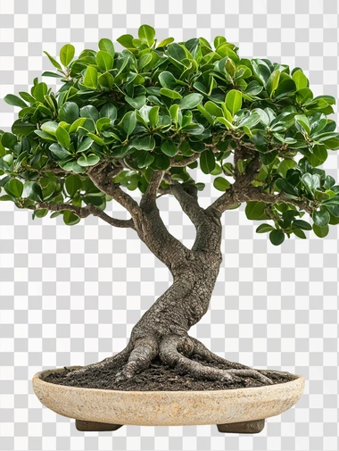 A Handroanthus heptaphyllus tree with green leafs, against solid white background, huper detailed   --s 250