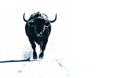 solid black angry bull running away from viewer at 45 degree now shadow silhouette with white background