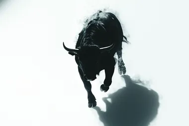 solid black angry bull running away from viewer at 45 degree now shadow silhouette with white background