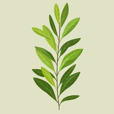 Minimalist logo of olive branch